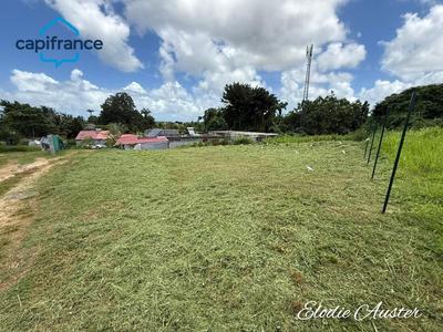 Terrain constructible - 646 m²