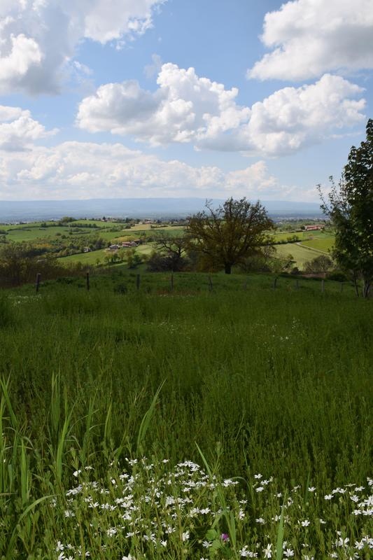 Terrain constructible - 516 m²