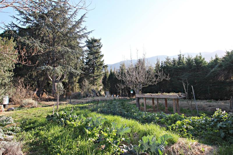 Maison - 227 m² - 6 pièces