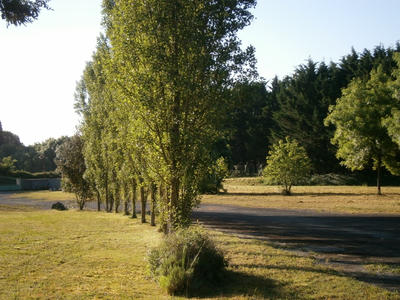 Local d'activité / Entrepôt - 300 m²