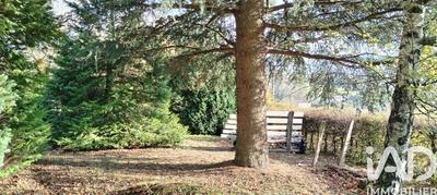 Maison de campagne - 80 m² - 5 pièces