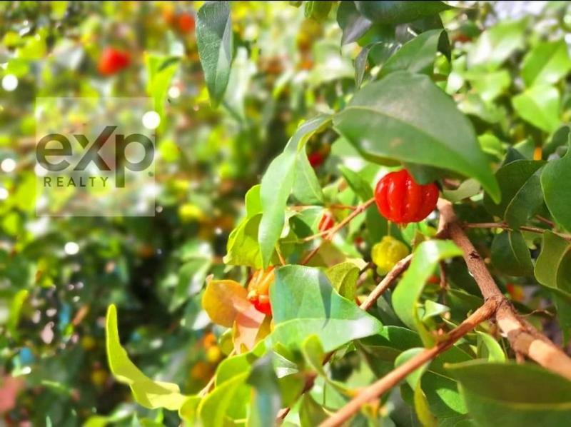 Maison - 127 m² - 4 pièces