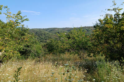Terrain agricole - 1 968 m²