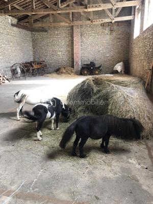 Grange - 280 m² - 1 pièce