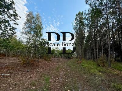 Terrain de loisirs - 2 770 m²