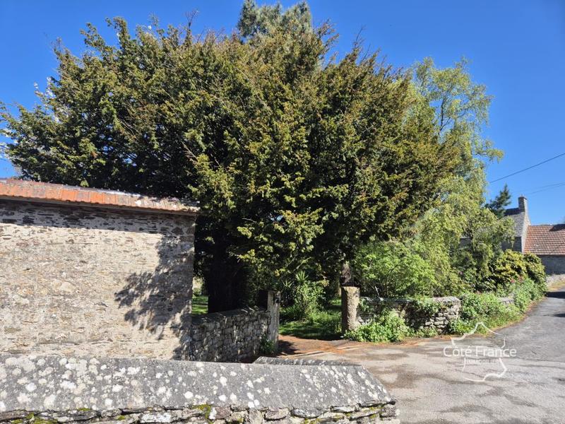 Propriété - 213 m² - 10 pièces