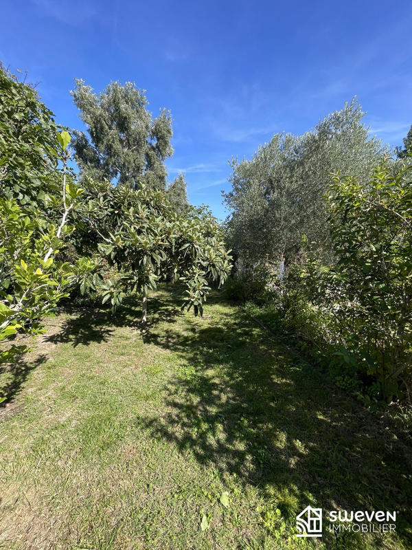 Maison ancienne - 170 m² - 6 pièces