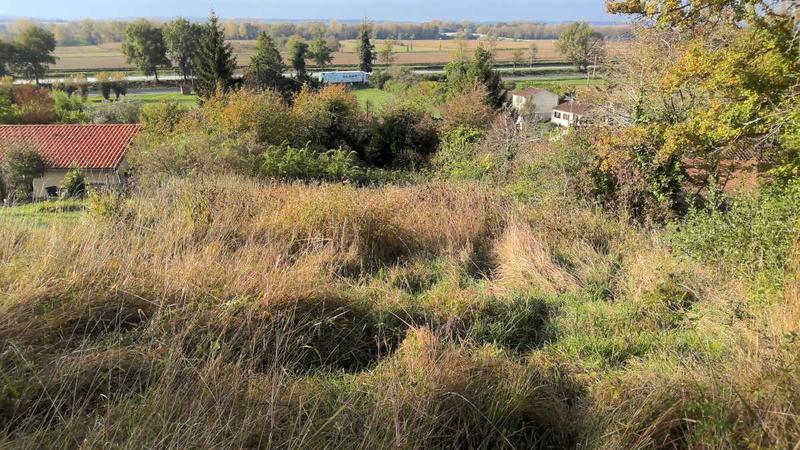 Terrain constructible - 1 480 m²