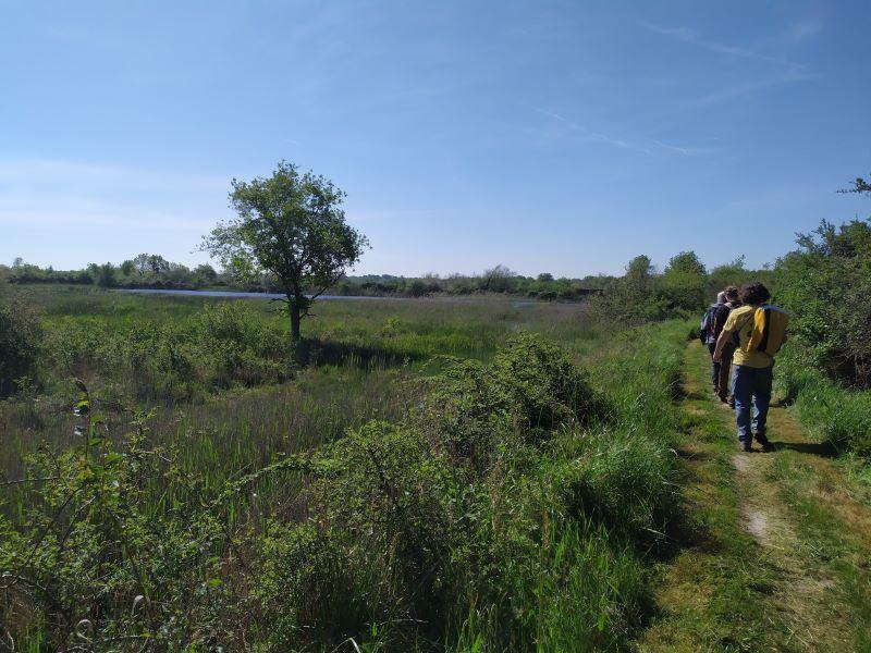 Les Terres de Renard