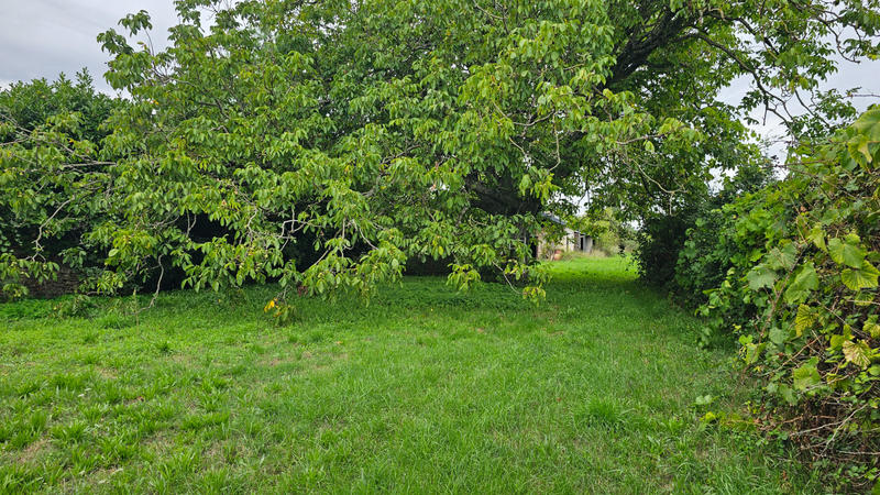 Maison - 70 m² - 2 pièces