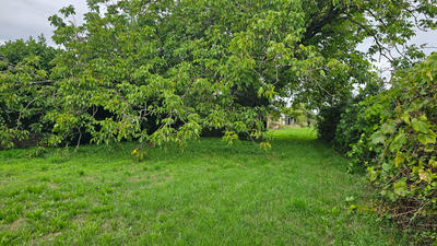 Maison - 70 m² - 2 pièces