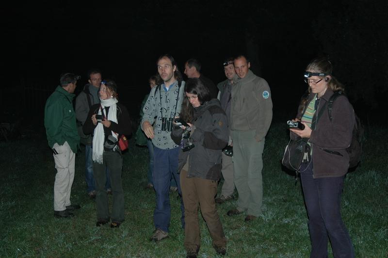 Identification  et écologie acoustique des Chiroptères, Battements zéro