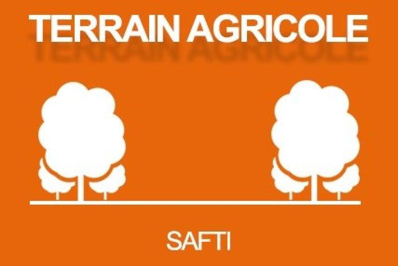 Terrain agricole