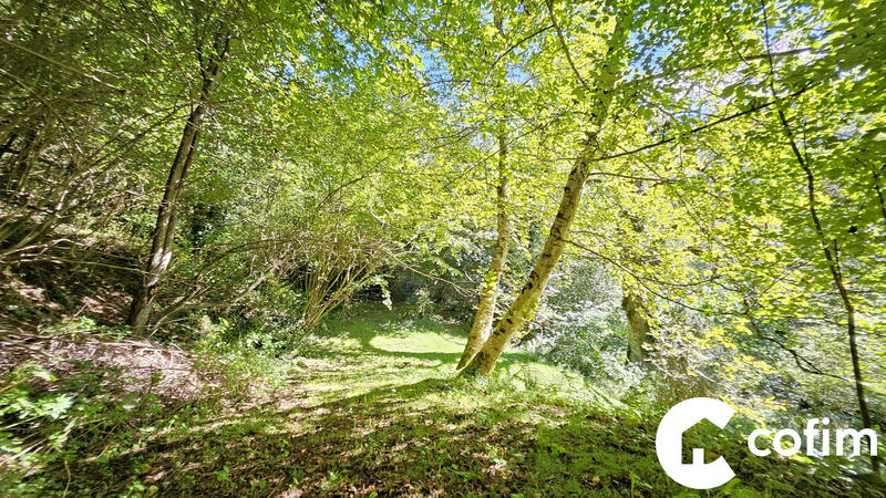 Maison ancienne - 43 m² - 2 pièces