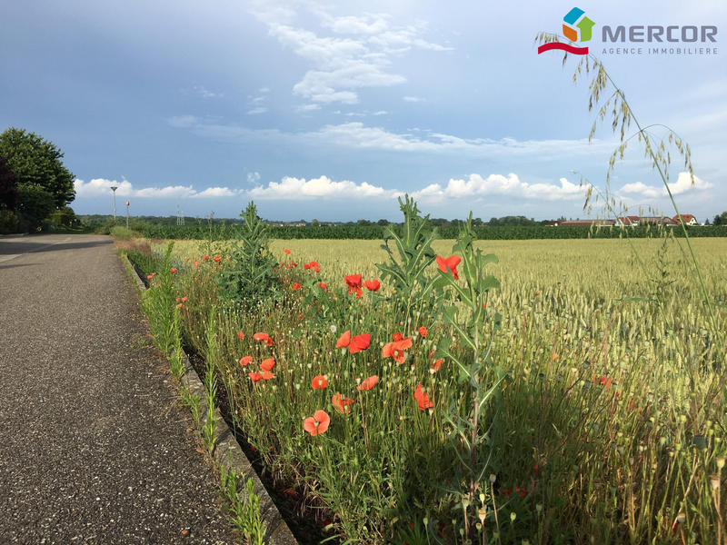 Maison - 124 m² - 4 pièces