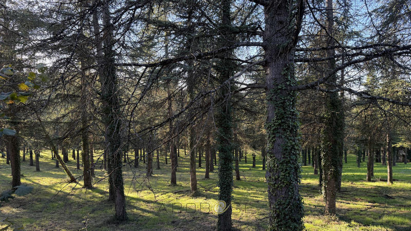 Maison - 300 m² - 7 pièces