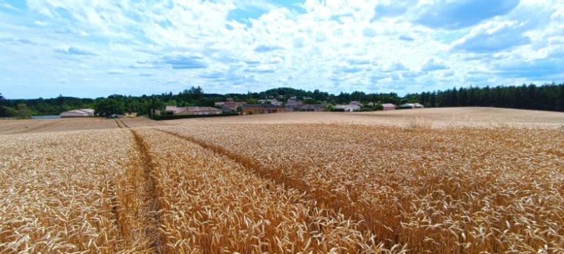 Terrain - 12 138 m²