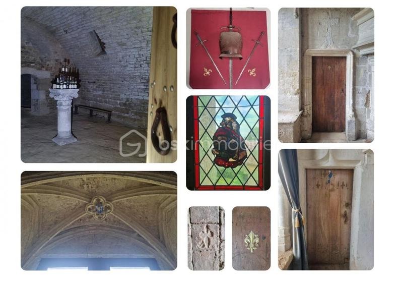 Château - 500 m² - 10 pièces