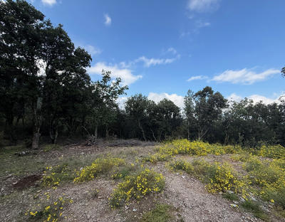 Terrain - 76 380 m²