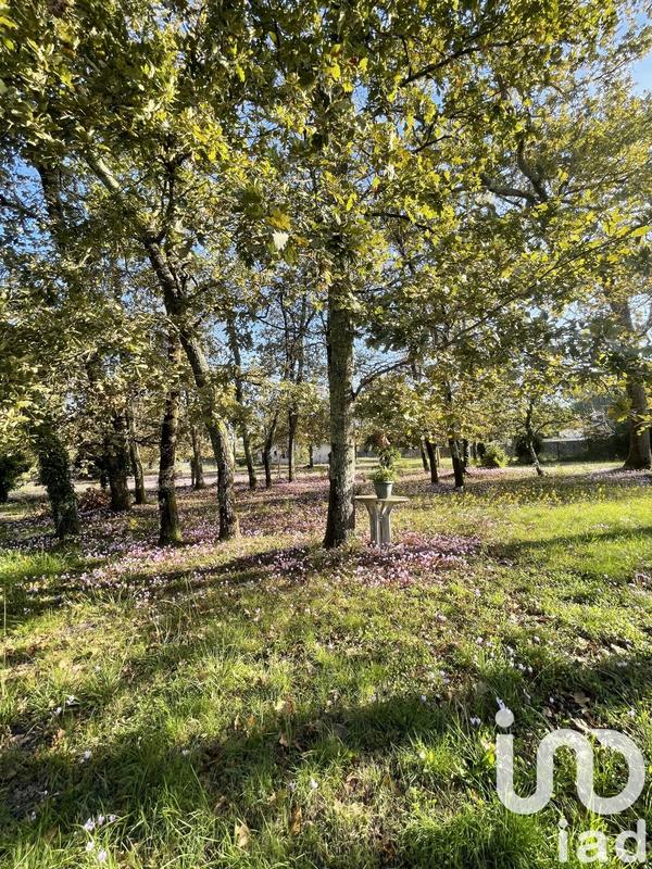 Maison - 130 m² - 3 pièces