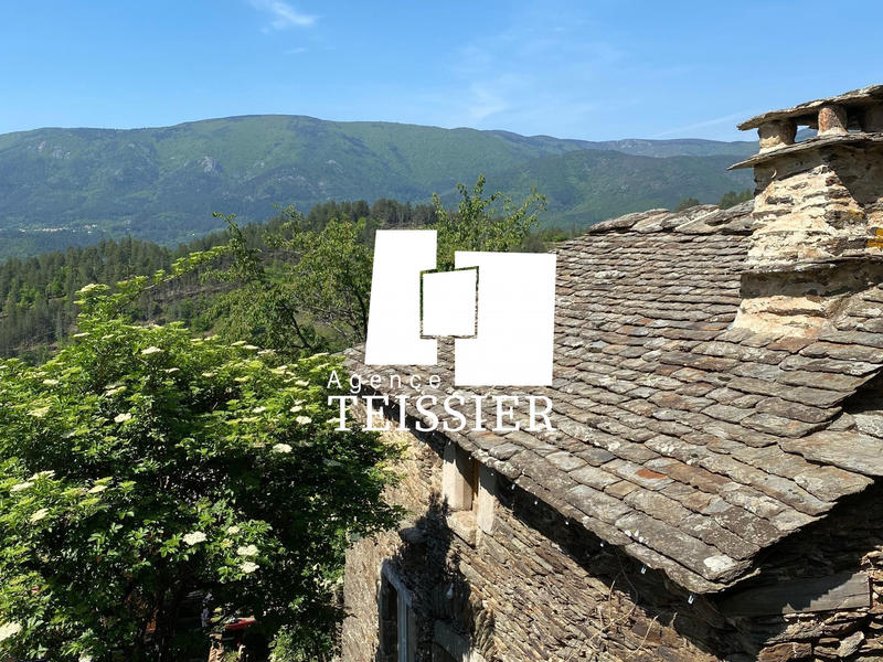 Mas - 341 m² - 20 pièces