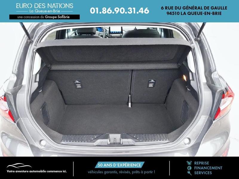 Ford Fiesta 1.0 Ecoboost 125 Ch s&amp;S Mhev Powershift Titanium Vignale