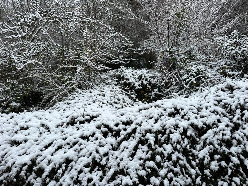 Châlet - 200 m² - 7 pièces