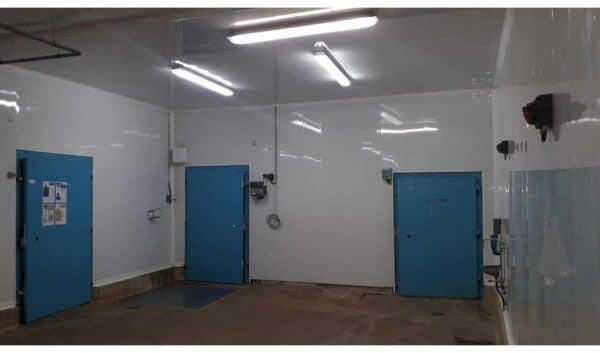 Local commercial - 900 m²