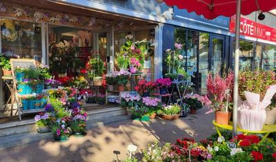 Bureau - 35 m² - 3 pièces