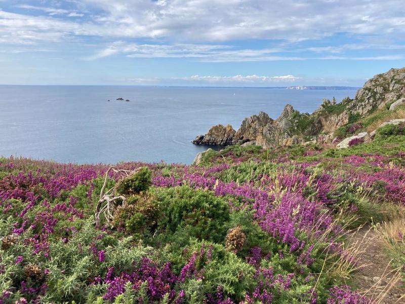 Maison - 118 m² - 6 pièces