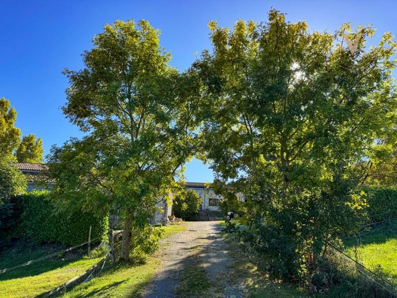 Corps de ferme - 230 m² - 9 pièces