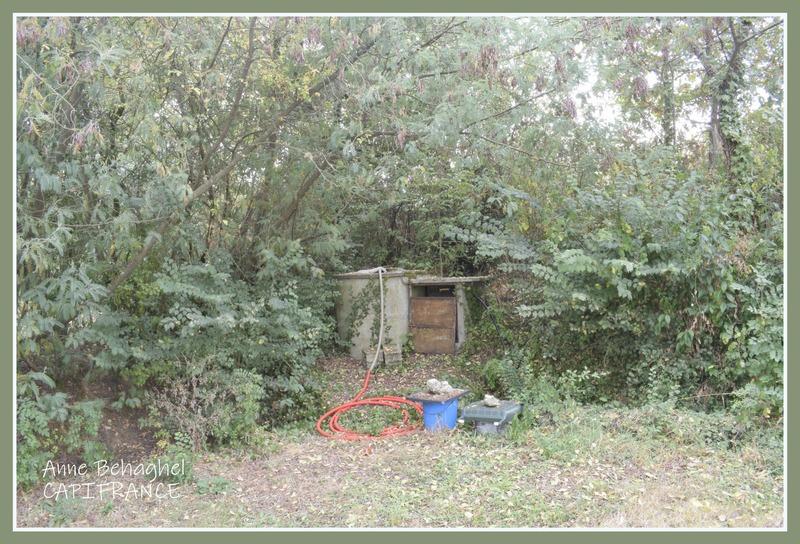 Maison - 133 m² - 7 pièces