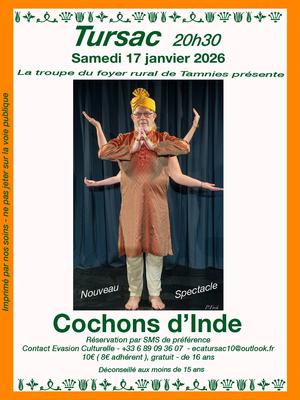 Théâtre - Cochons d'Inde