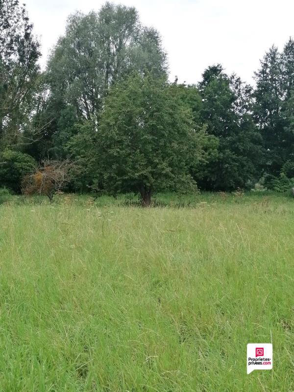 Terrain constructible - 1 917 m²