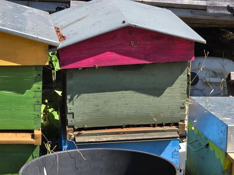 Maison - 80 m² - 3 pièces