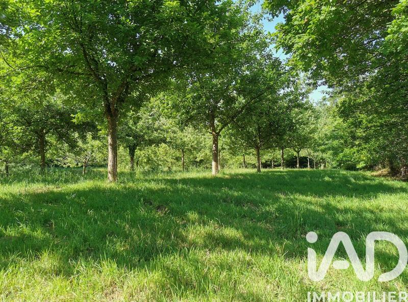 Terrain agricole - 15 000 m²