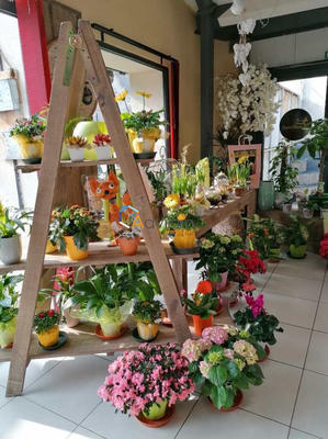 Fonds de commerce - Magasins - 144 m²