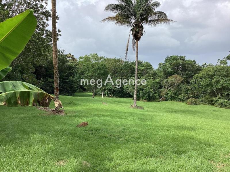 Terrain constructible - 11 100 m²