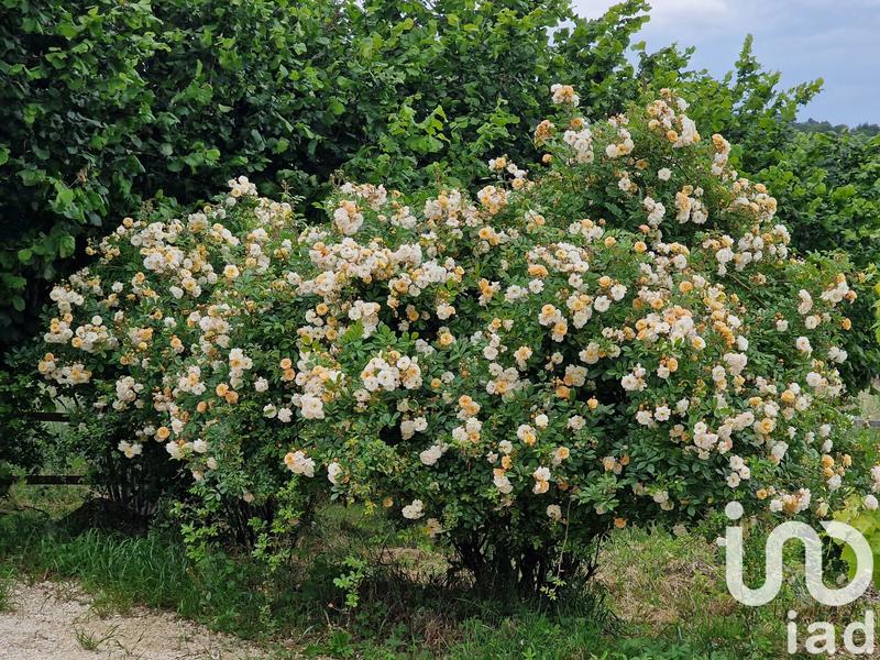 Maison de campagne - 100 m² - 5 pièces