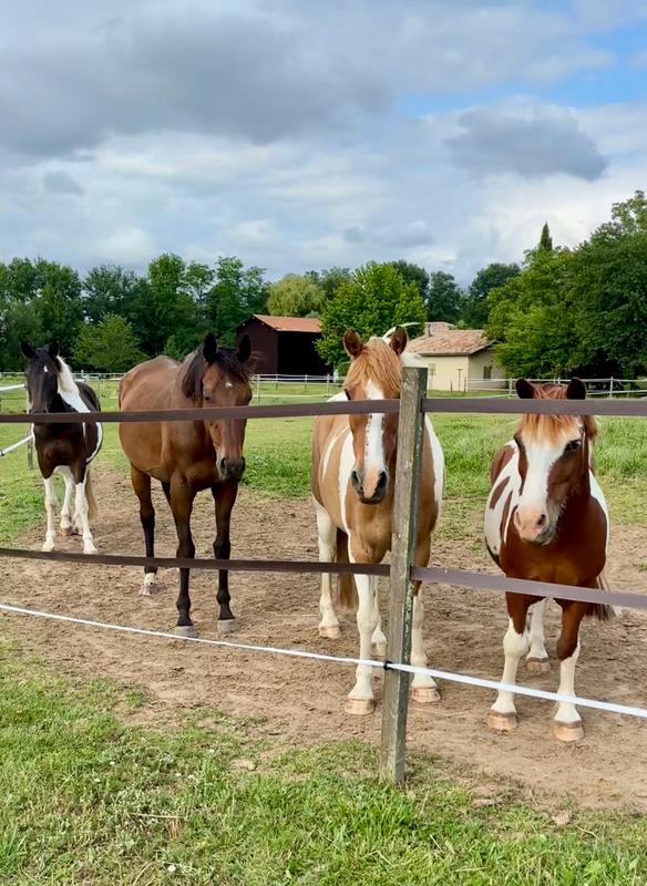 Les Ecuries du Dropt