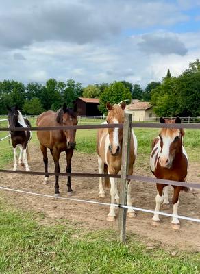 Les Ecuries du Dropt