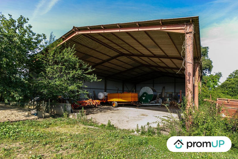 Terrain agricole - 5 000 m²