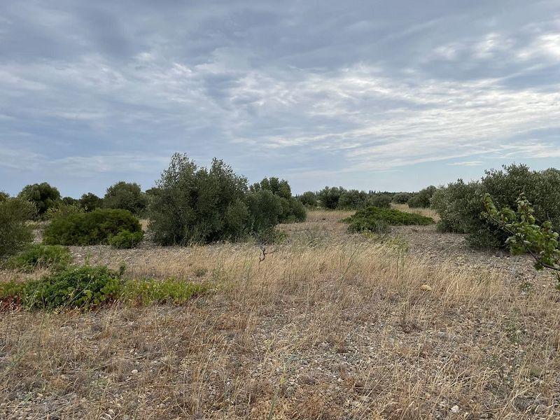 Terrain - 21 115 m²