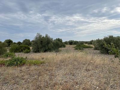 Terrain - 21 115 m²