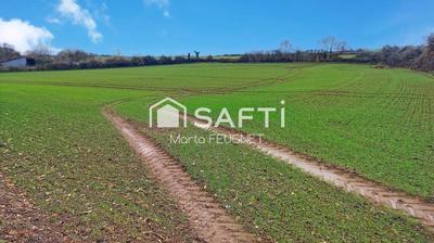 Terrain - 12 700 m²