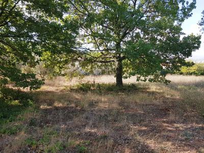 Terrain constructible - 300 m²