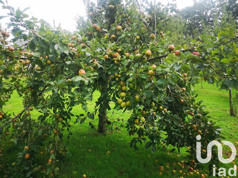 Maison - 93 m² - 5 pièces