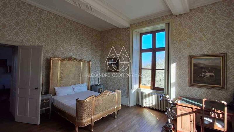 Château - 700 m² - 20 pièces