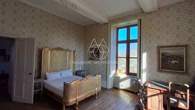 Château - 700 m² - 20 pièces