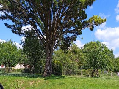 Terrain constructible - 1 740 m²